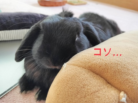 7A83A134-CF44-4847-92DB-9CEB761D9FC6