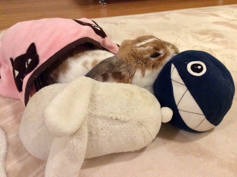 6B79A7C3-61A2-493F-A0E6-6F5F423418BF