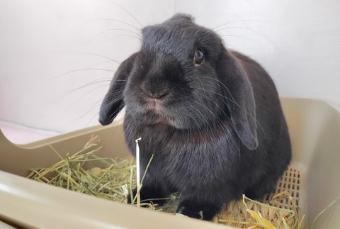 B6F40340-3D6E-4186-B5A8-BB1D911D02B6