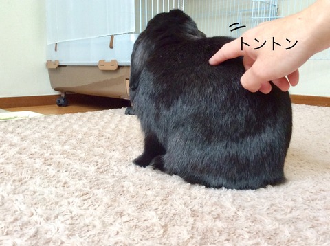 6637601D-45ED-408F-9ED6-4EC6340EC811