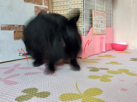 EB393940-F179-4F6A-8CF9-EED38C86F8FB