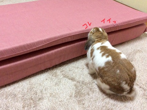 0D52E492-7D60-4A63-90D0-F148CCE546E3