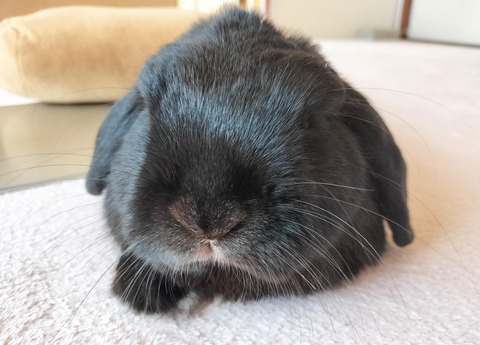 576A32A3-2D43-4B9C-90C3-D09F0999F47D