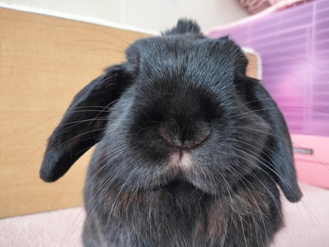 15CA7844-619A-479A-90DB-0075C3D536E0