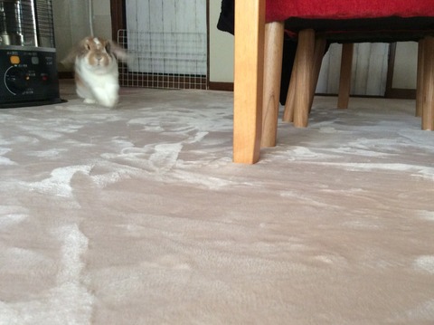 475E4CD4-3420-41D4-84B6-A6B28B56EE57