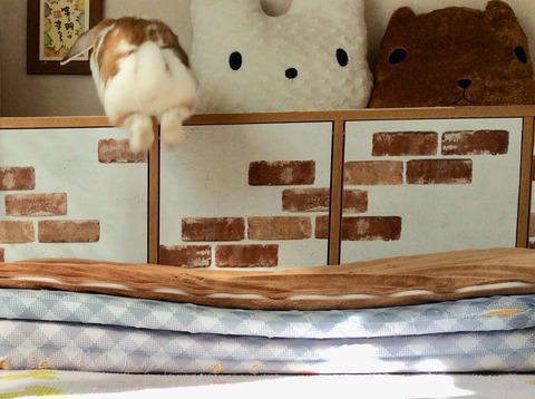 BF33B8B5-EE4D-40A7-A326-AB329CEADCD4