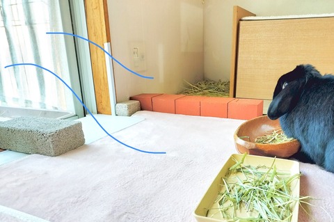 0C1464CA-BEC3-42C4-983B-273C5D5BE9B7