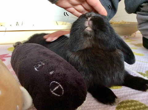 FCC58A96-531C-4D3F-8037-39BD349F65CF