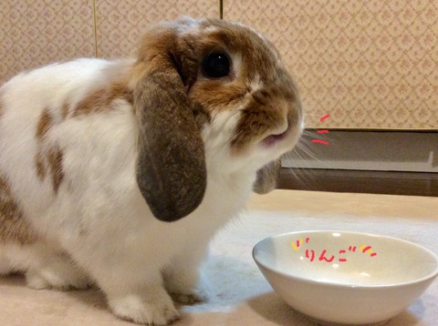 0F1112DA-6803-48EA-804B-6EECD6398A52