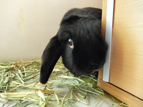 D8C8812B-4569-4B13-BA85-AFD0BE6E8F6D