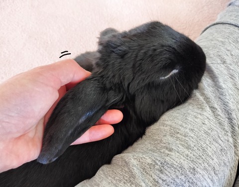 D51E8D0F-5DB5-4C79-B078-6A54BB3044C6