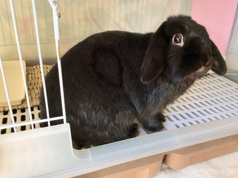 F4A92484-05C5-478C-AA04-3F3168D326C7