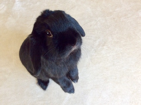 509B527D-18B5-4509-9F14-0081D2C37C15