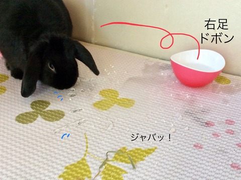 688C58F9-0BC6-43EA-BB3B-D2F241BD6579