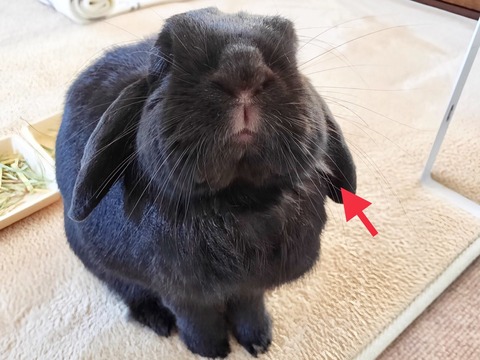 CB52751E-BB01-44EC-8AF7-E59D7E58E885