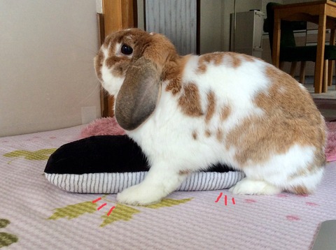 F3FBCAB4-02FC-4025-81B4-E9F9E22203D2