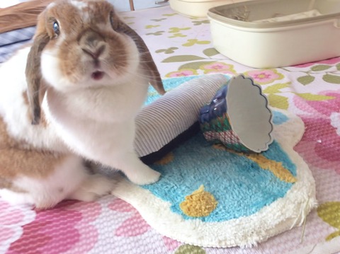 31FC425B-CDA8-41A9-991C-E2E9DB91E29D