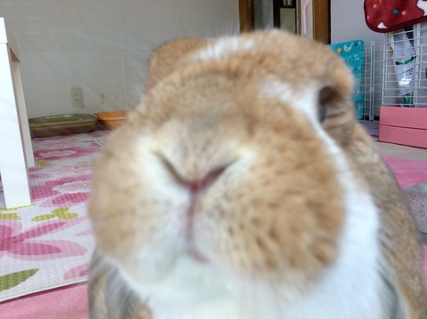 285E28D6-216E-4344-86E6-D0793C473FC8