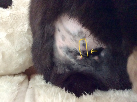 3B93B432-FF26-4D6A-A738-D1BDB82F5EC4