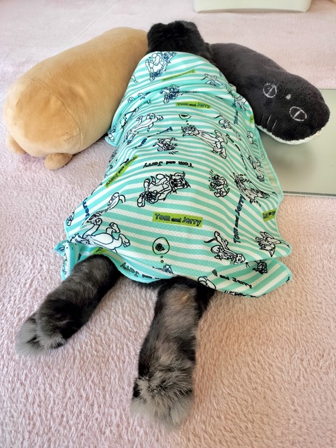 AE18BF0A-E69A-40E1-81C1-94A2A8D5624C