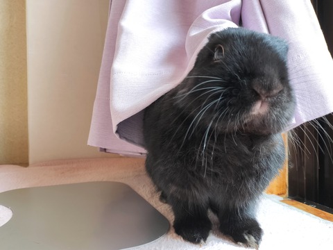 885EA804-6875-4B66-813A-2A2CD1848FEF