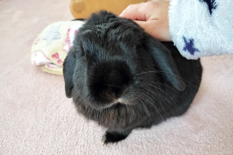 8B908726-8495-4CAF-8C92-C1B3357D1714