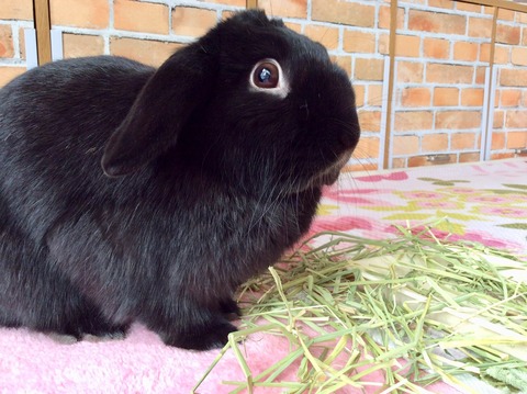 10C46E8E-7801-408D-811A-36AB1FAEC51C