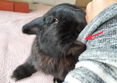 8B22CFBA-6C48-43D3-9B43-7890F7B4EB28