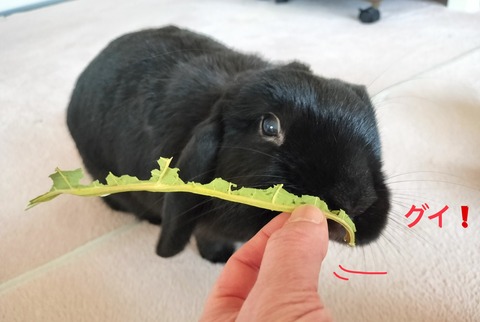 DF96D4E0-8514-4B5C-9BEE-BDEDF794BB8F