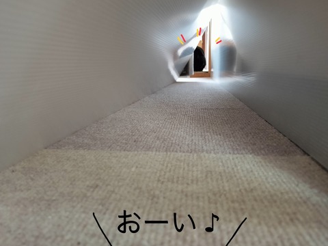 4A9E88AC-F029-475A-B519-0F9AD255C529