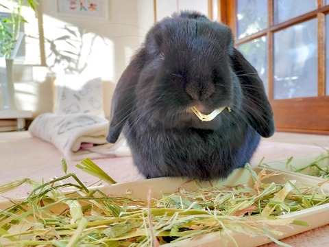 84D6326B-7078-4FF7-B203-8B09807EE181