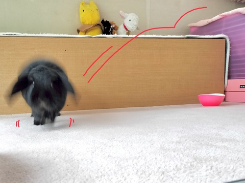 D7598576-4108-406A-A95D-C3162D813650