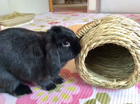 5E5A552E-7572-4896-A053-779D60E715B9