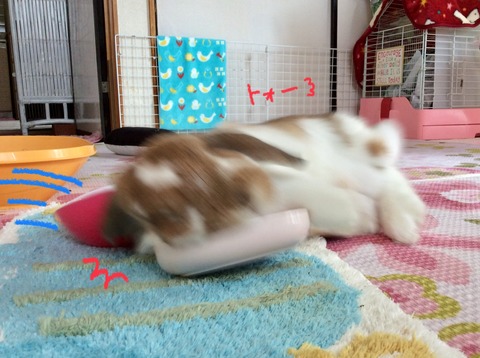 43D81ABA-FB82-4467-A7AA-243F400DD9F2