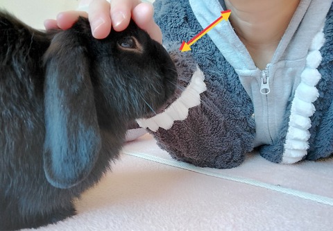 4A31DBA8-897D-4C77-BC5B-C8CEF41CF7B8