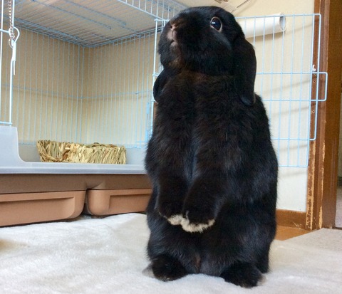 E8EEC08B-A906-411E-9EA0-5F19B02C0C19