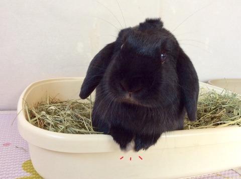 844F492E-B464-42BE-8F8A-155F6E902345