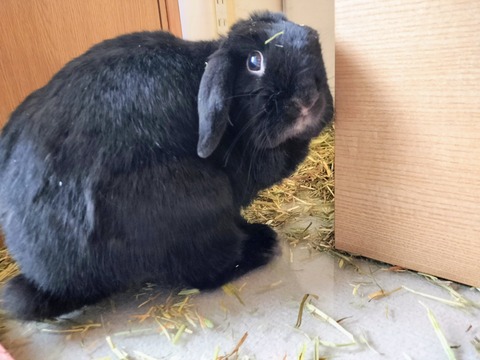 7F566F34-BB78-4504-8904-CC786FC65037