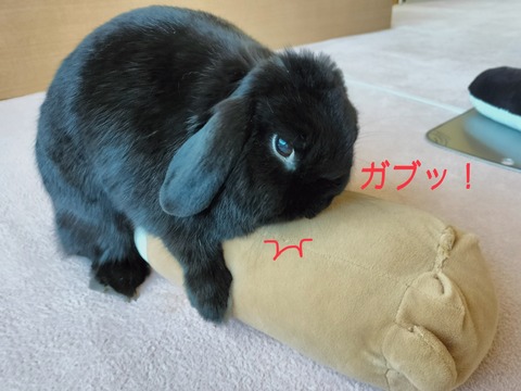 AA2DF206-A3B3-4854-8B53-38AFDB591ADB