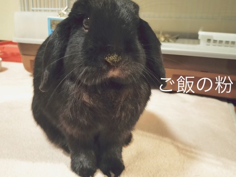 DF7EADC9-0F52-4C0E-B11F-386BB1B86A94