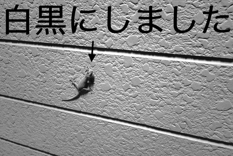 18184346-9E9D-4AD5-AD1C-B4BEE7568CC4