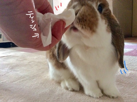 8BBC6ABC-91F4-498B-8AF6-BCFC72CB3BEB