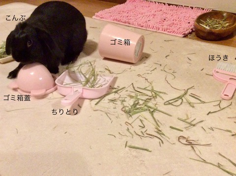 C59FA542-8E6B-4B45-8A9F-65FB9F77E000