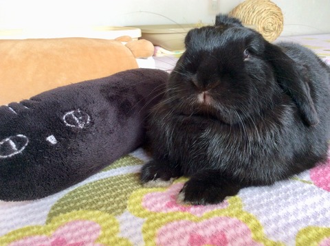 C7E4F027-FD32-4364-83AE-DCEBA9DEBE9E