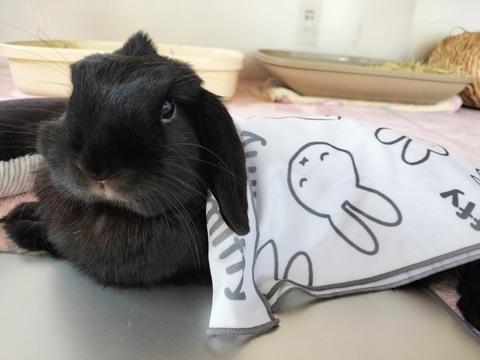 9EA153A1-FD0C-4F6A-89EA-C2754031FC16