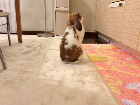 90C383A8-2A75-483C-8DC7-B699BA9111BE