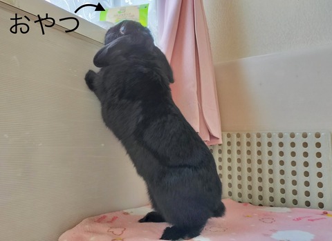 DDA5D544-C48E-4BEA-9B84-D1F44BA345B9