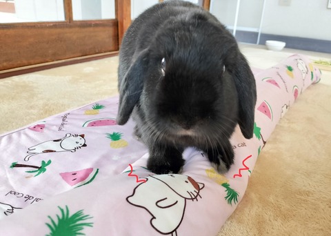 70DEC6D2-1C23-4EA5-97DF-754AE60C9A0A