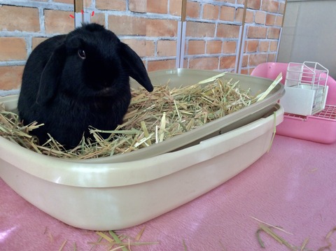 7BB1D80B-293A-4BB2-BA8C-B7AF24055FCE