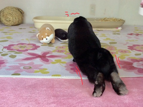 BE396779-9E03-4697-A426-75DF46D9968A